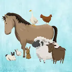 anniversaires à la ferme de pégase