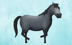 cours d'équitation