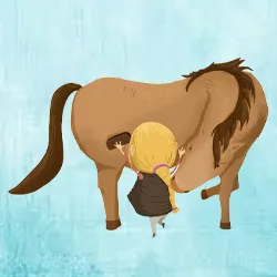 soins des chevaux