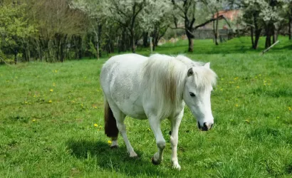 photo La Ferme