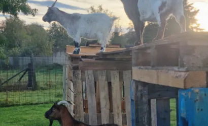 photo La Ferme