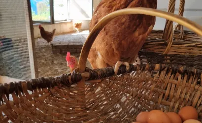photo La Ferme